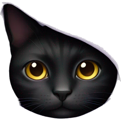 Black cat under a purple blanket emoji