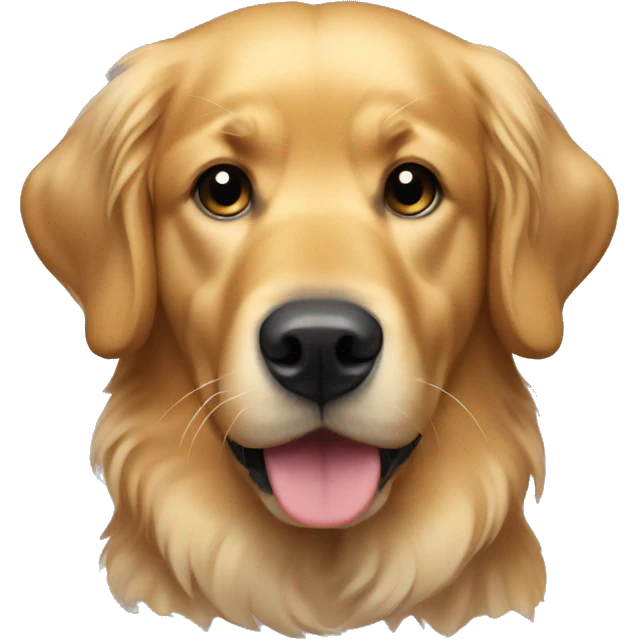 Golden retriever pat on head emoji