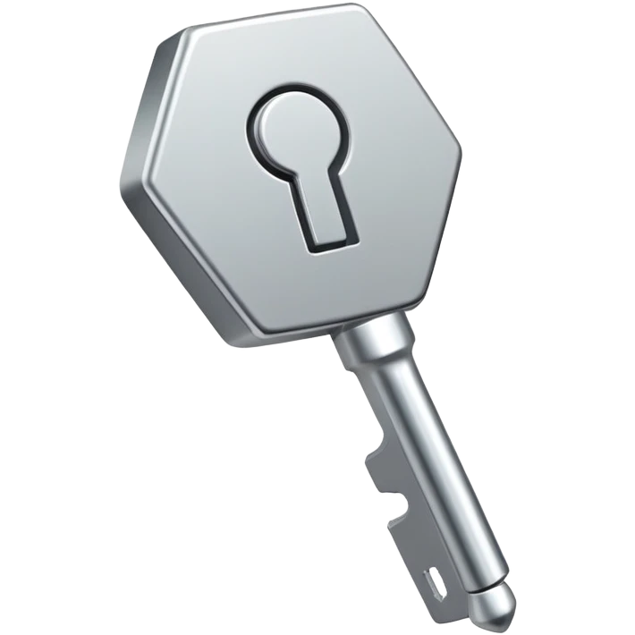 Pequeña llave metálica plateada con forma hexagonal en la cabeza y la palabra NATIONAL grabada – símbolo simple y elegante de acceso físico y seguridad personal emoji