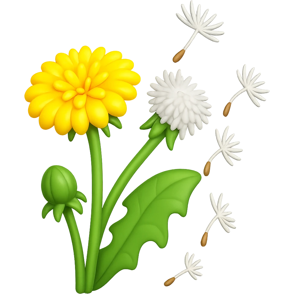 Create a square 3D illustration of a dandelion with fluffy seeds flying in the wind, in the style of iOS Apple emoji. The dandelion should have a volumetric yellow flower, green leaf, and fluffy seeds, all on a transparent background. The style should mimic the detailed, smooth, and vibrant look of Apple emojis. emoji