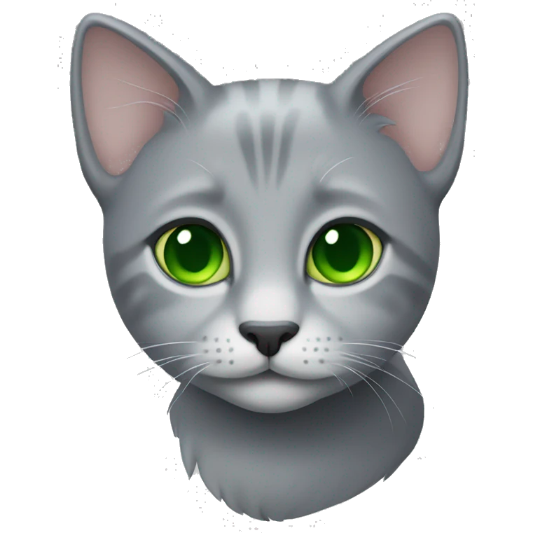 grey kitty with green eyes  emoji