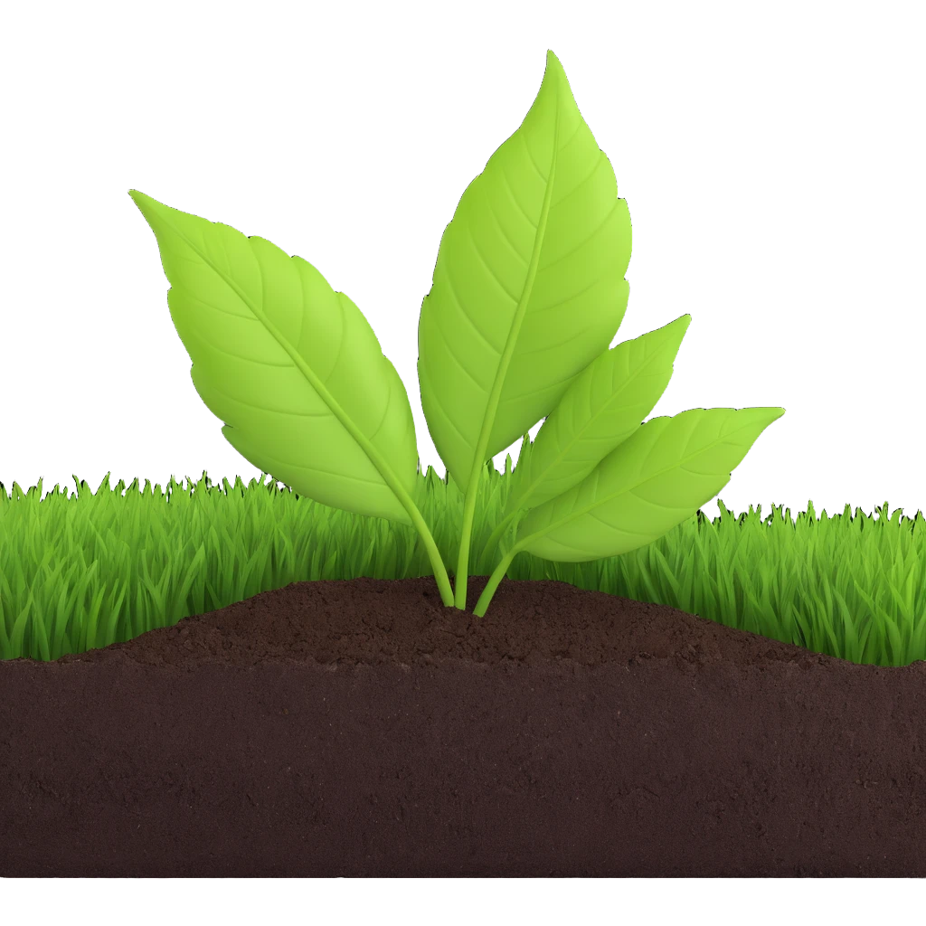 A fresh green leaf placed on soil or grass, clearly above the ground. emoji