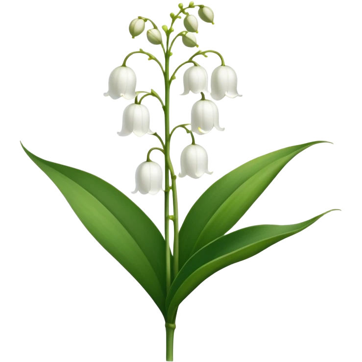 Botanically accurate lily of the valley with large oval basal leaves pointing upward, and a central stem with small white bell-shaped flowers hanging to one side emoji