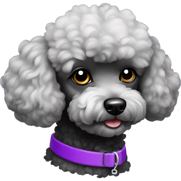 black toy poodle purple collar emoji