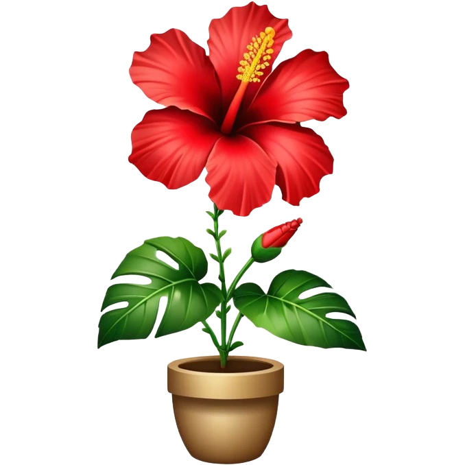 single red Hawaiian hibiscus, straight stem emoji