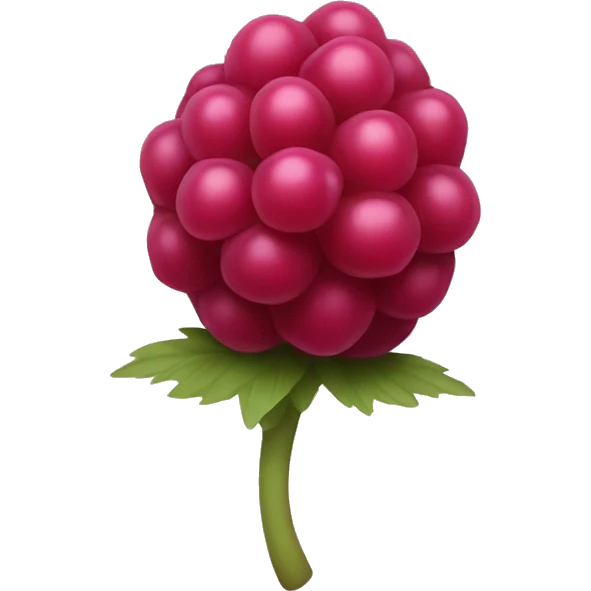 a simplistic raspberry emoji