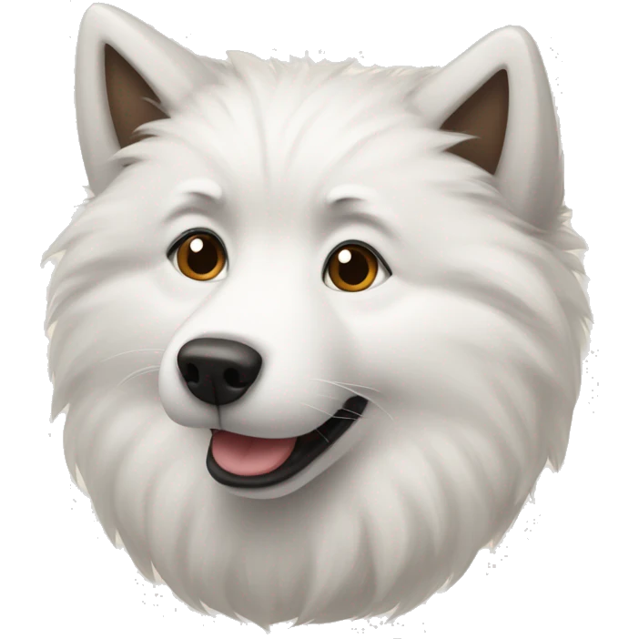 Samoyed with a raccoon emoji