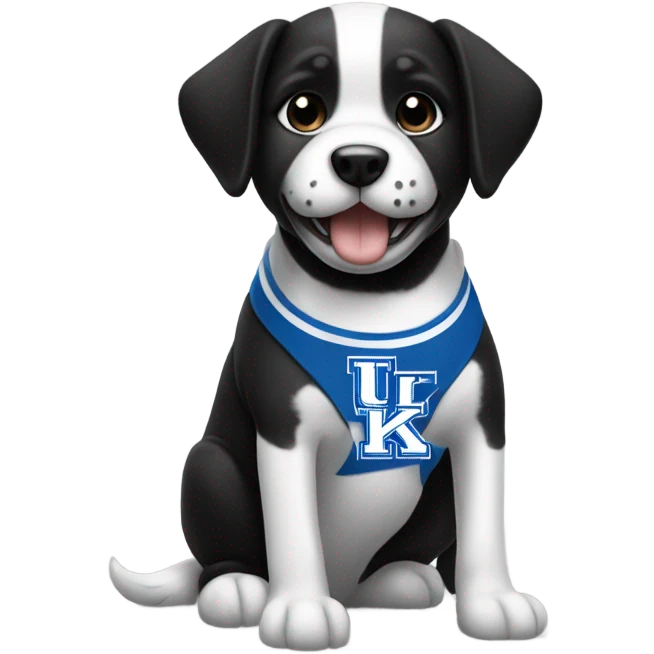 Black and white dog wearing university of Kentucky top emoji