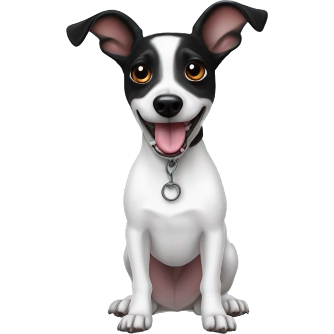 White jack russel black pointy ears tongue out  emoji