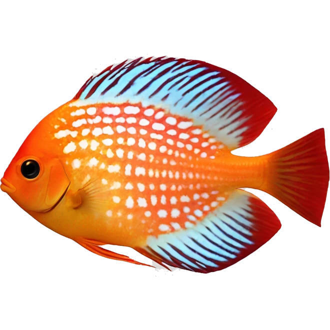 Discus orange red emoji
