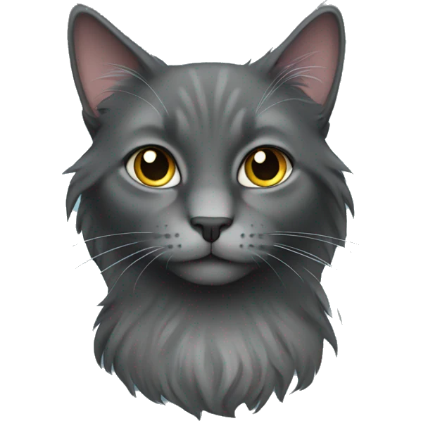 dark grey long haired cat emoji