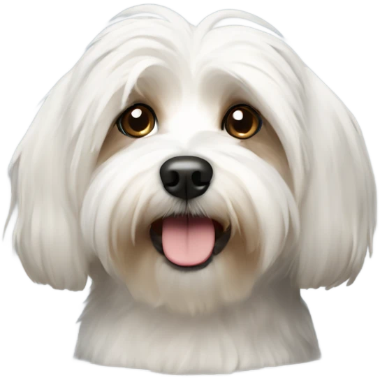 Havanese dog emoji