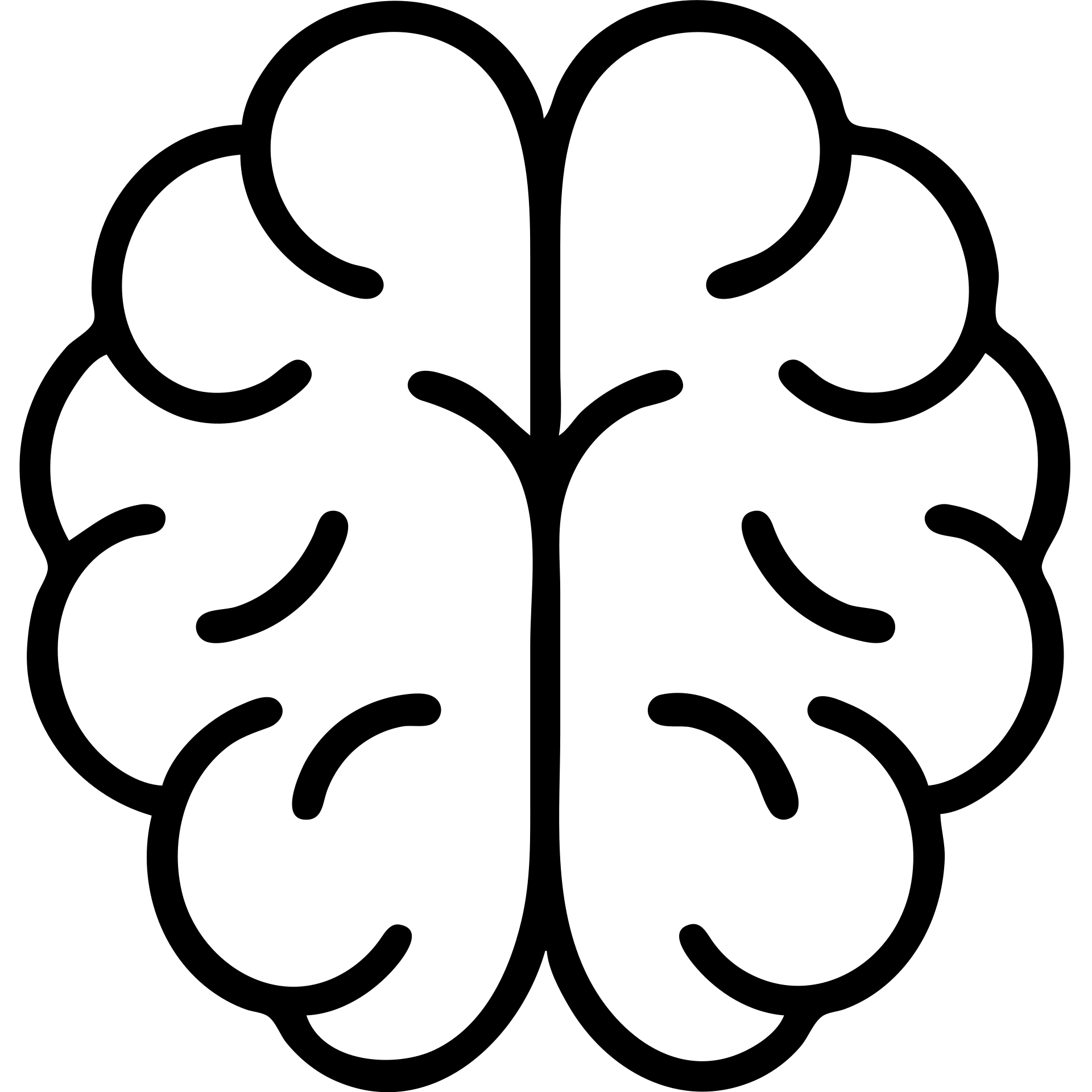 outlined icon of a brain with no fill emoji