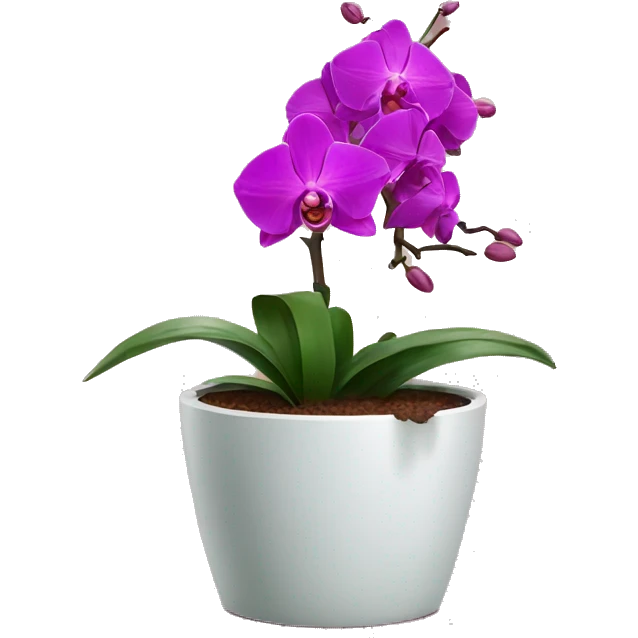 Orchid in a flowerpot emoji