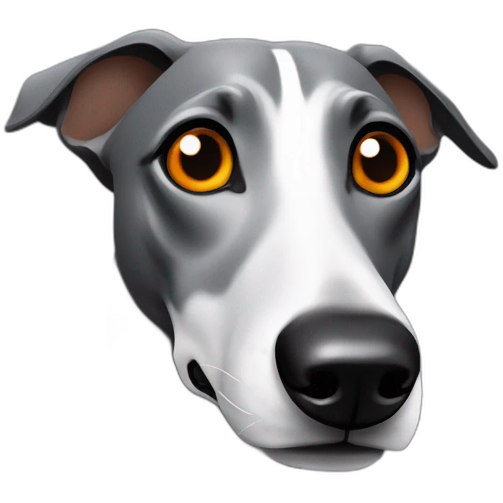 black whippet with orange eyes emoji