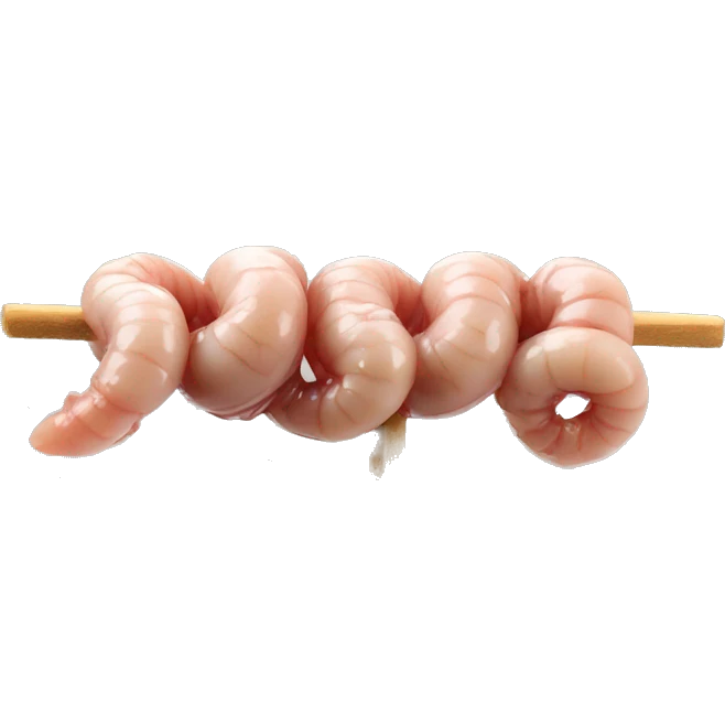 Lamb intestines on a skewer like kokorec emoji