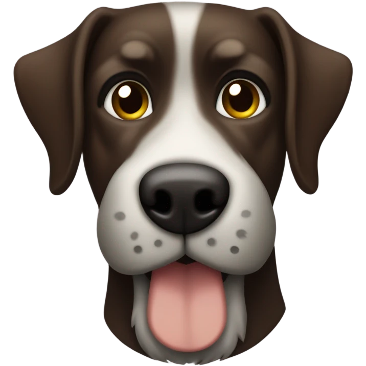 Dark Brown dog with floppy ears, and a green collar and a brown nose and a gray beard emoji