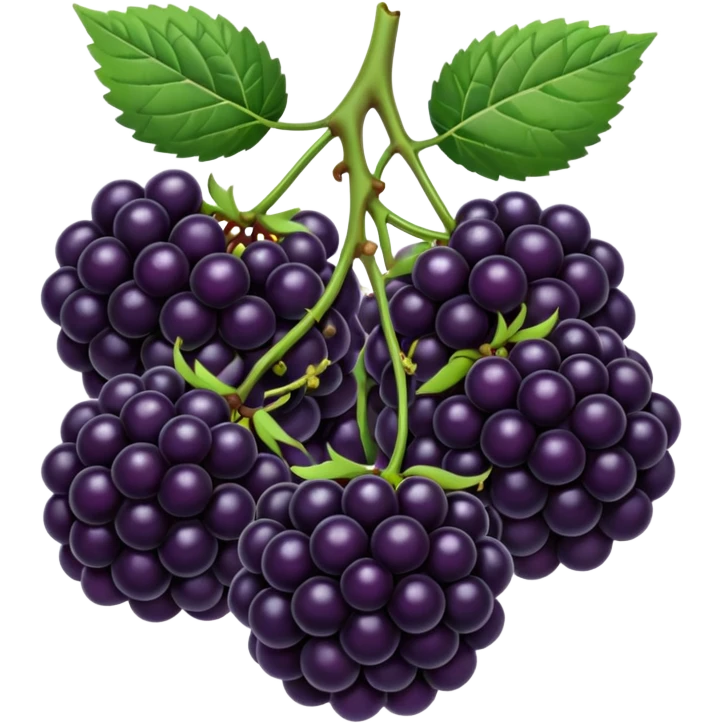 blackberries emoji