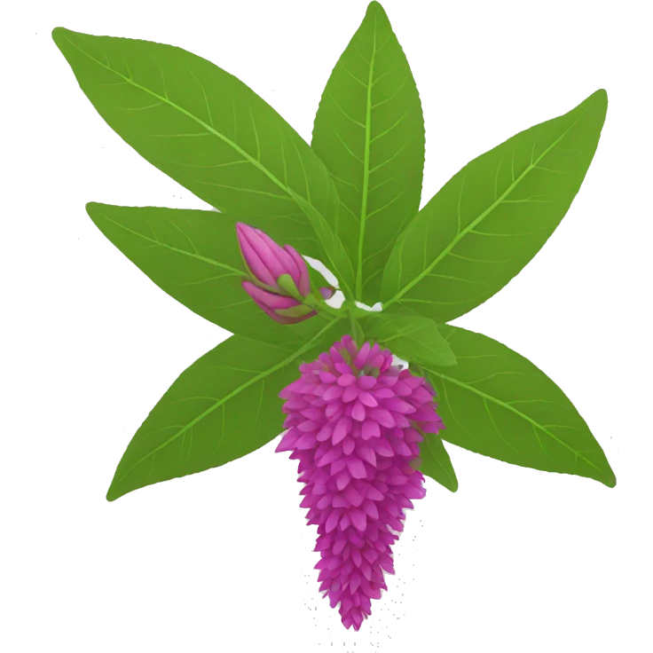 amaranth flower emoji