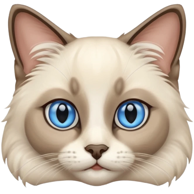 Ragdoll Siamese cat  emoji