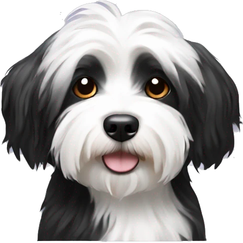 Black and white havanese emoji