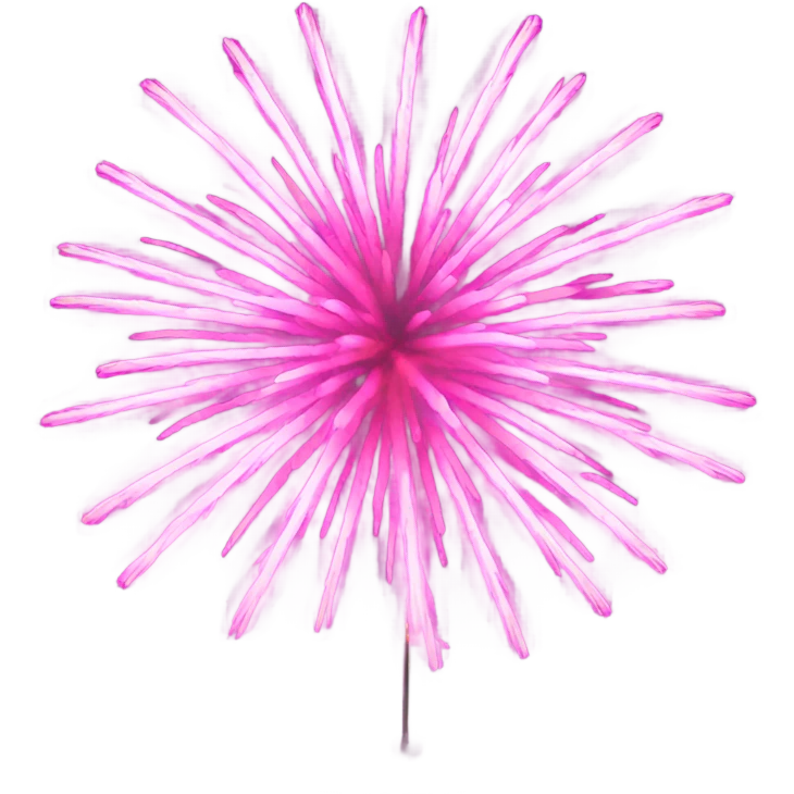 pink fireworks emoji