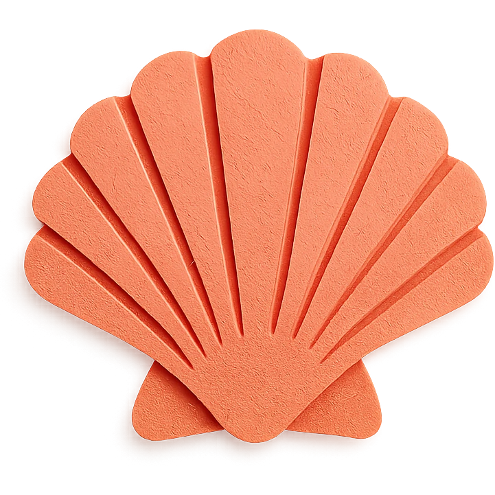 scallop shell, textured paper details, gentle shadows emoji