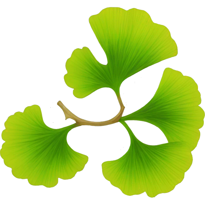 ginkgo biloba emoji