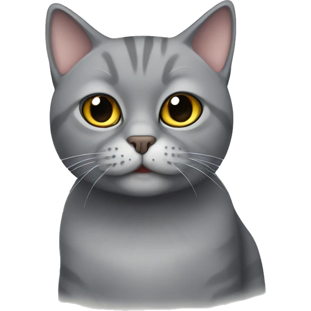 grey Scottish cat emoji