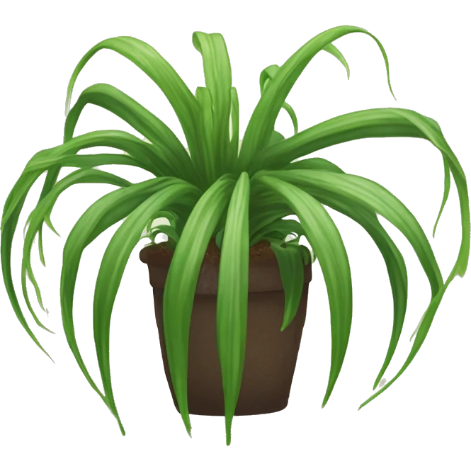 A magical sentient spider-plant who has a dirt ball at his center, and long tendrils￼ emoji