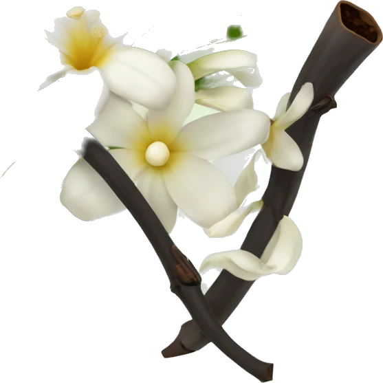 vanilla beans with flower emoji