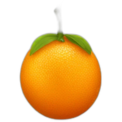 orange fruit emoji