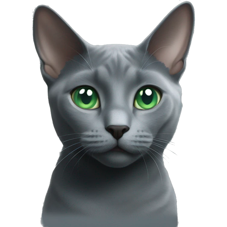 russian blue cat green eyes  emoji