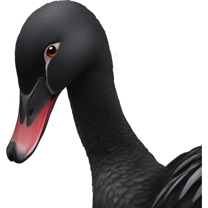 Black swan emoji