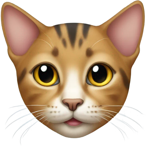 Cat with earnings  emoji