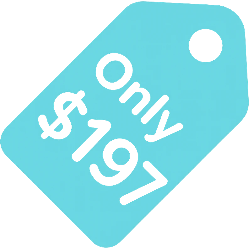 icon with text 'Only $197', color icon style, cyan as the main color, bold, modern, clear, rounded font, price tag or label element emoji