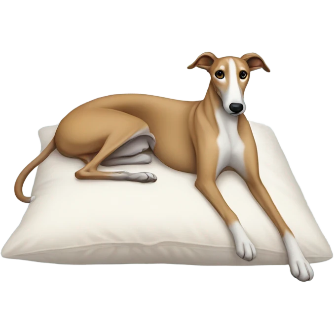 Greyhound laying down in a pillow emoji