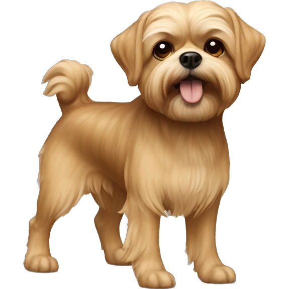 underbite beige shorkie dog full body shot emoji