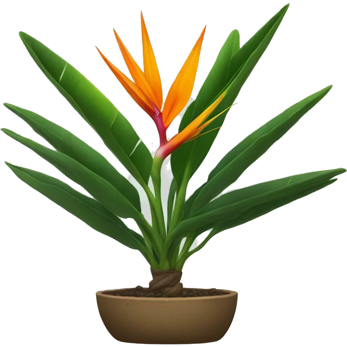 Bird of paradise plant without flowers emoji