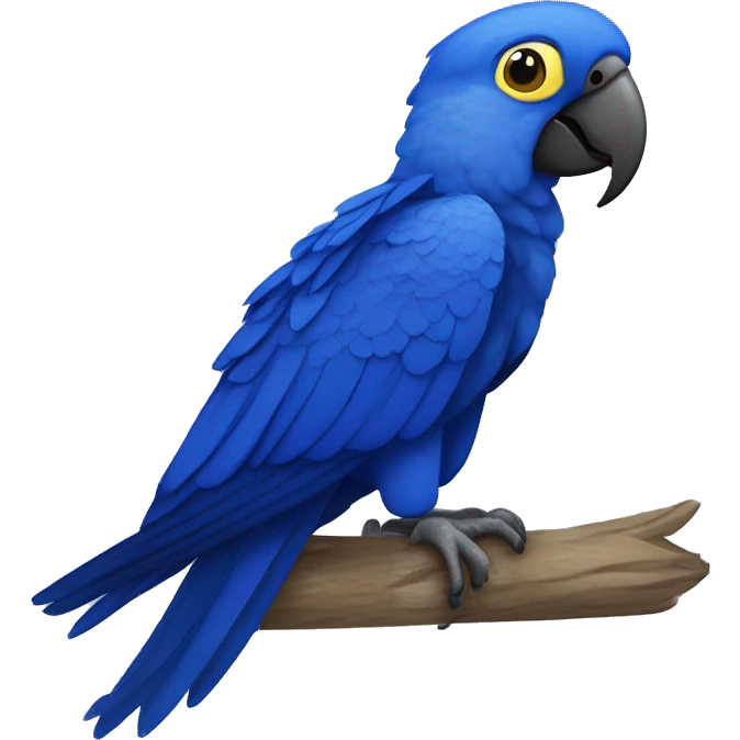 Hyacinth macaw  emoji