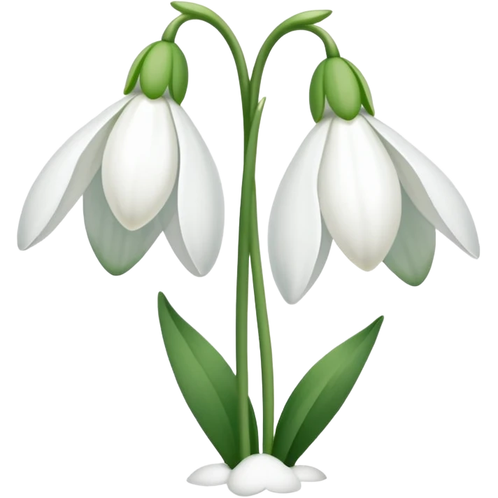 Snowdrop 1 flower emoji