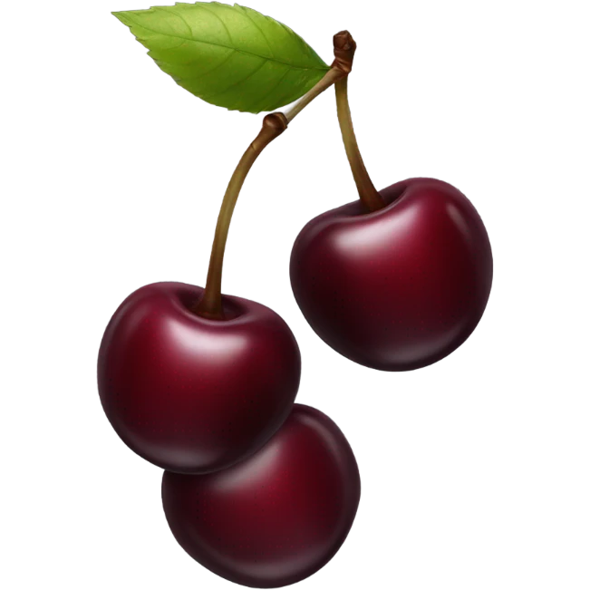 two burgundy cherries on black stem emoji