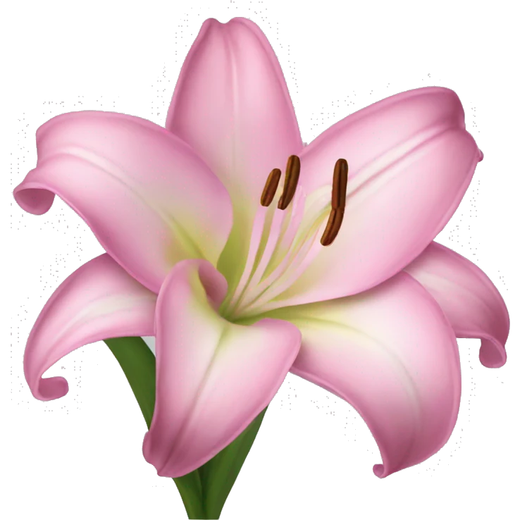 pink lily emoji