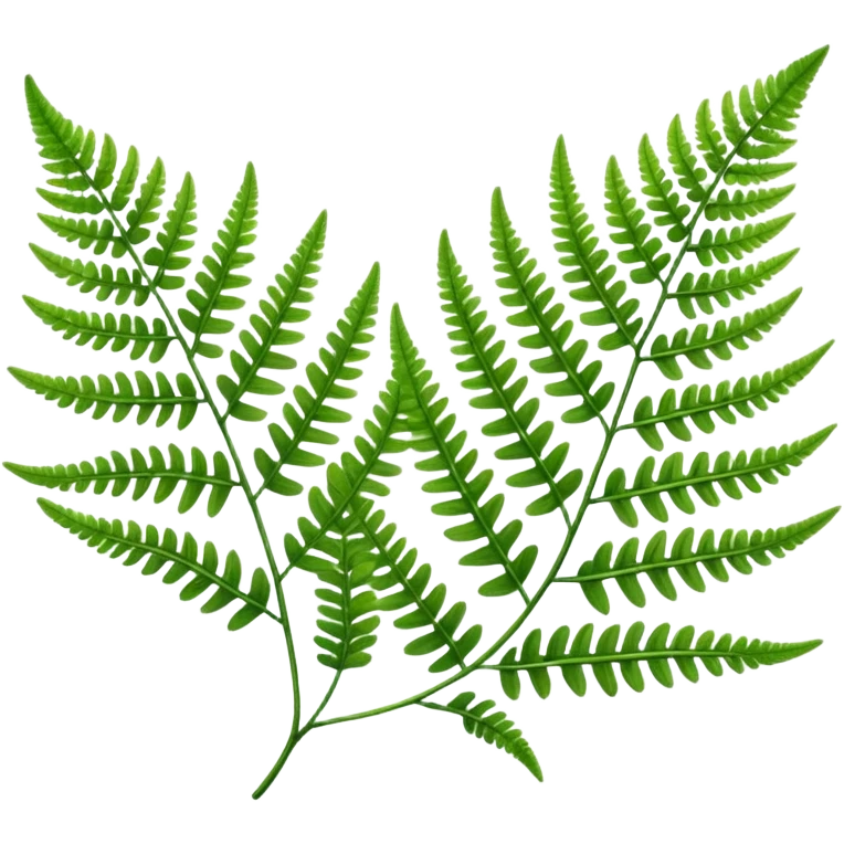 Fern leave emoji