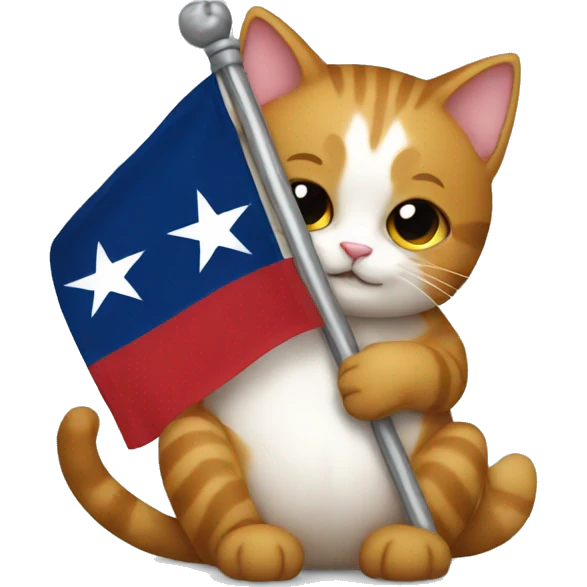 cat hugging texas flag emoji