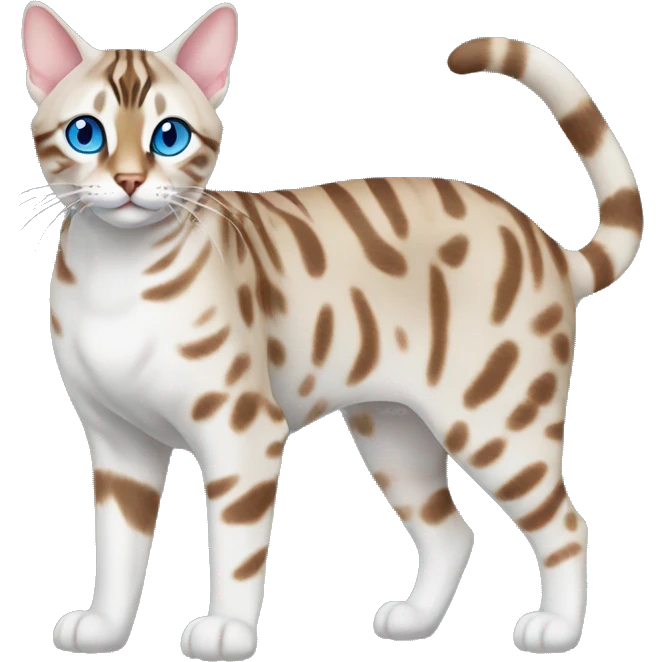Snow minx bengal cat full body blue eyes emoji