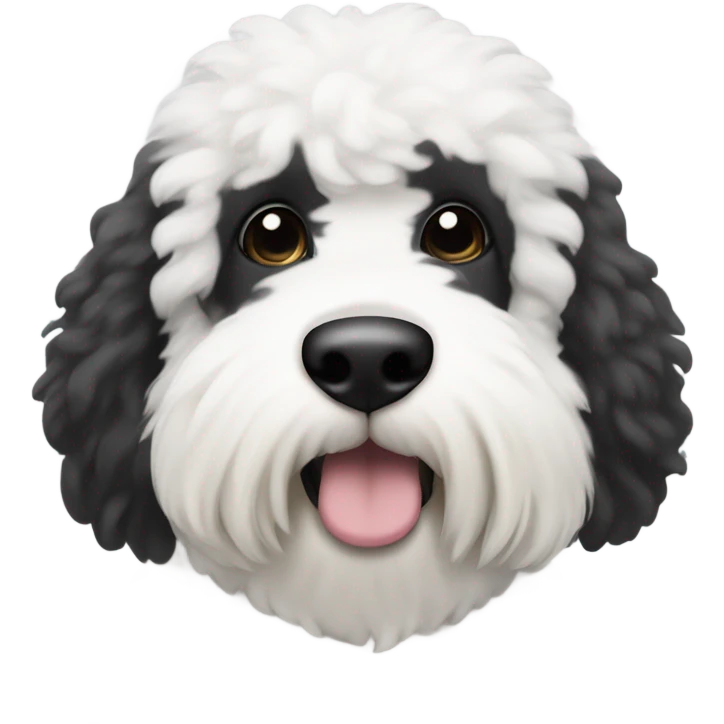 @oatmealthesheepadoodle from Instagram the coloring around his left eye is black and the coloring around his right eye is white  emoji