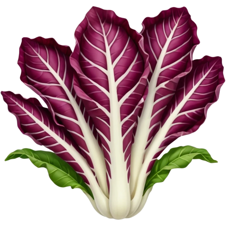  radicchio treviso emoji