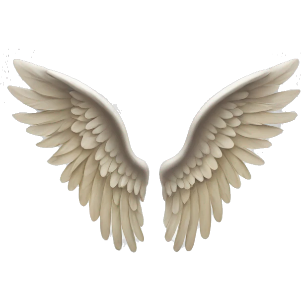 Angel wings emoji