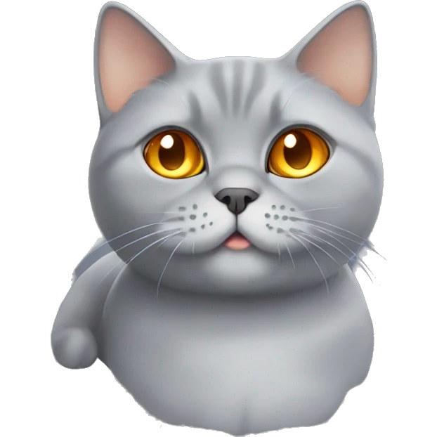 Grey British shorthair cat with big orange eyes looking adorable emoji
